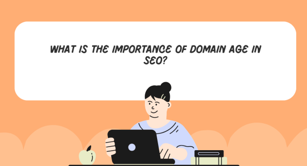 Domain age in SEO