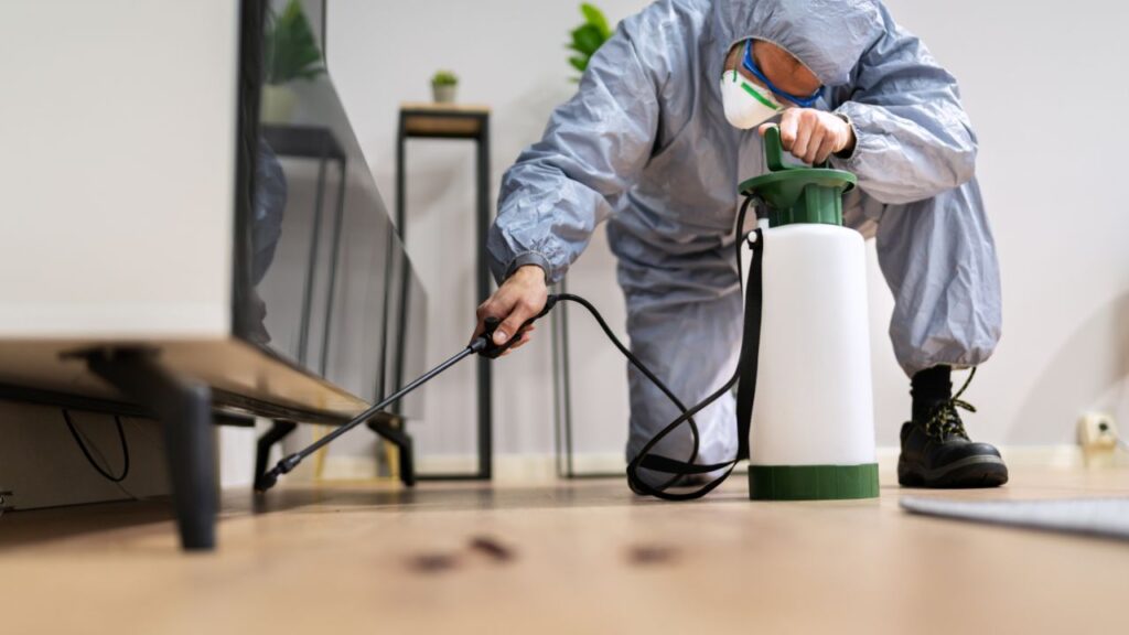 Precision Pest Control pre purchase inspection