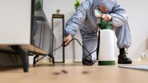 Precision Pest Control pre purchase inspection