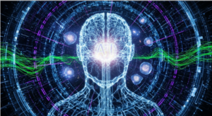 Top Applications of Legal AI in Contract Review and Management