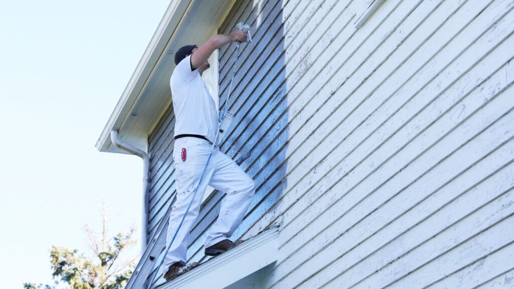 painting trends Brisbane homes