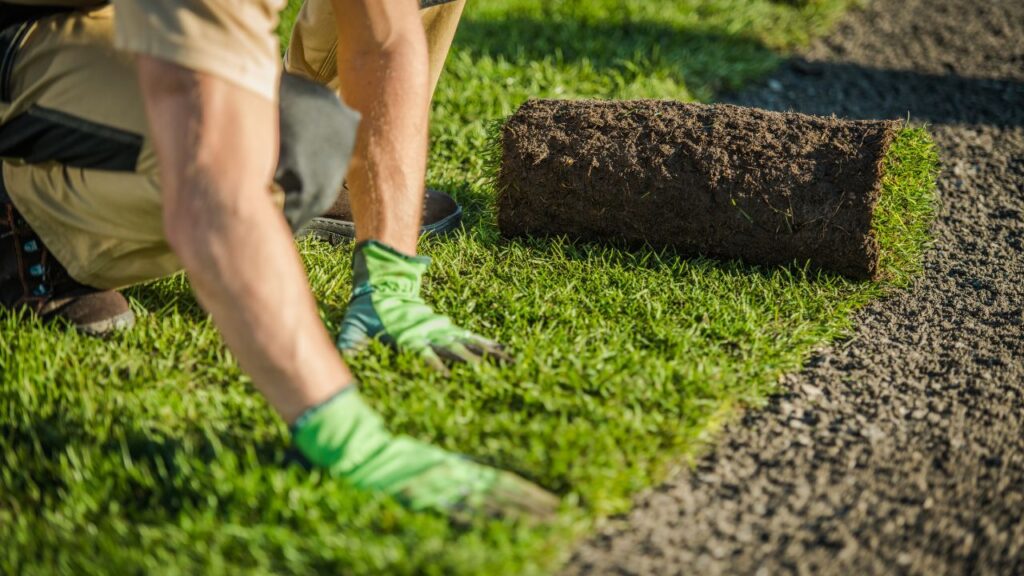 sustainable landscaping Titan Turf