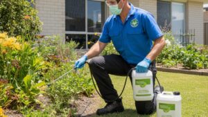 pest control in North Richmond