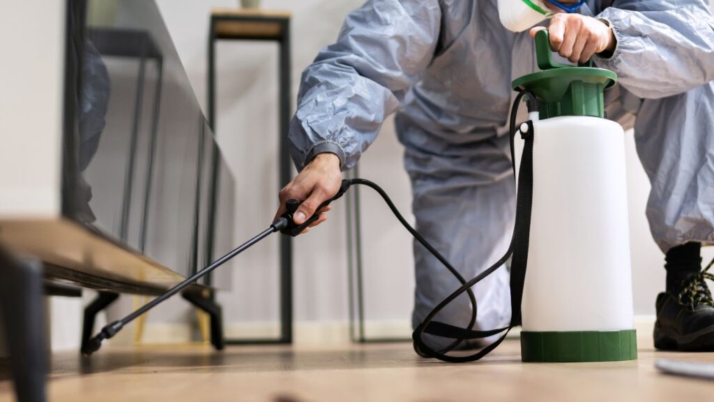 pre purchase pest inspection in Adelaide