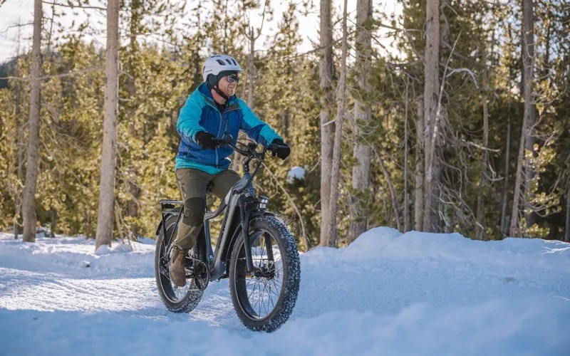 electric snow bikes
