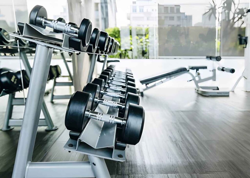 gym equipment