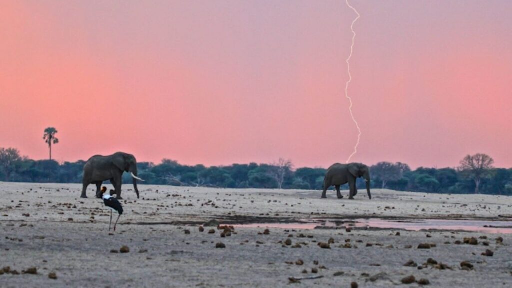 Matusadona safari camps