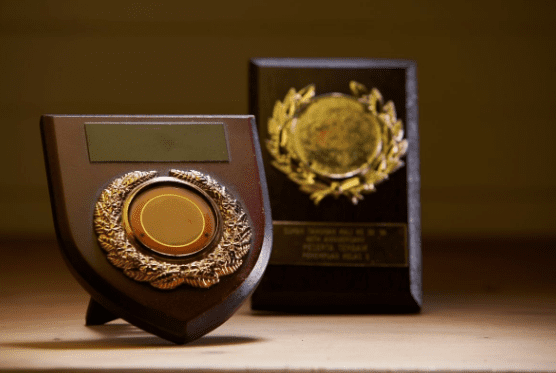 Plaque Awards Are the Gold Standard for Professional Recognition