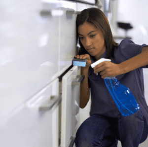 Professional Home Cleaning