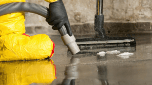 Professional Water Removal
