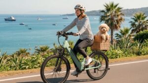 e-bike vs car commuting cost