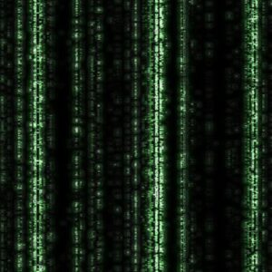 Decoding the Digital Oracle: Illuminating Black-Box Models with SHAP and LIME
