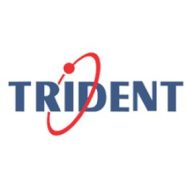 Profile picture of Trident Information Systems Pvt Ltd